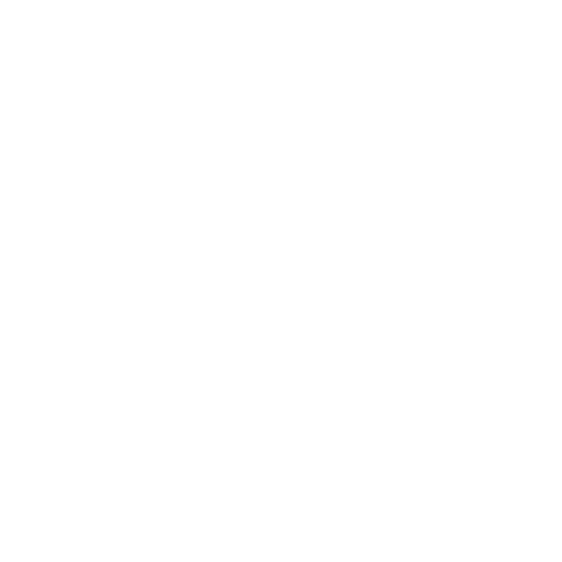 Bullet Icon White